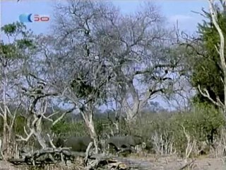 O Império dos Elefantes - Episódio #3 - RTP1