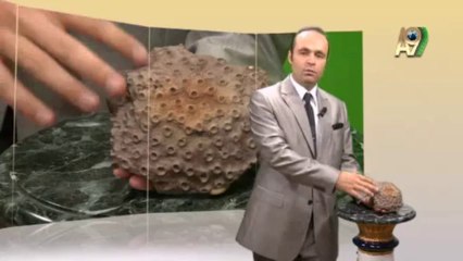 Creation Museum - Sun coral