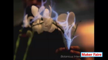 Hacking Nature: Making Interactive Plants