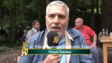 Niyazi Yanmaz, 21. Dönem Şanlıurfa Milletvekili