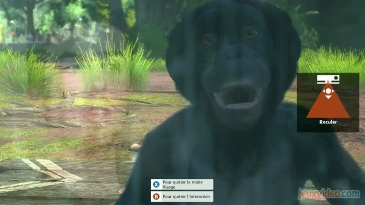 Gaming live Zoo Tycoon - Zoo Tycoon X Kinectima...