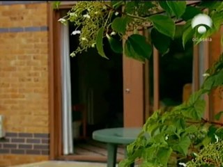 O Paradoxo de Hawking - Odisseia