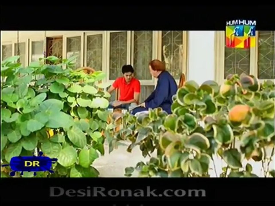 shareek 1