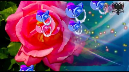 Shaqir Cervadiku - Diamant Esht Dashuria (Official Video)