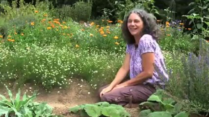 Bain de vapeur à la camomille
