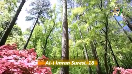 Allah'tan başka İlah yoktur