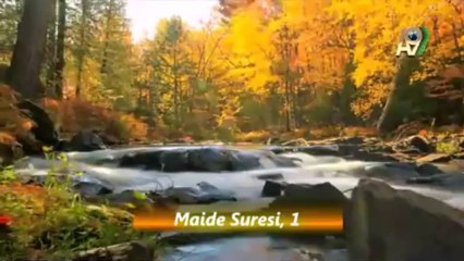 Allah hükmün tek sahibidir