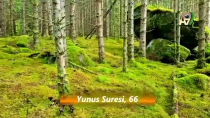 Allah, göklerin, yerin ve ikisi arasındakilerin sahibidir