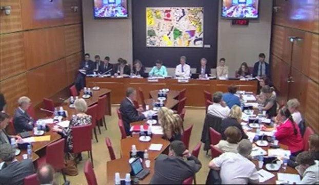 Audition de Mme Aurélie Filippetti, sur la politique culturelle à l'ère du numérique - Mercredi 19 Juin 2013