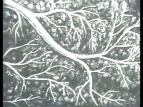 025.Дисперсные системы