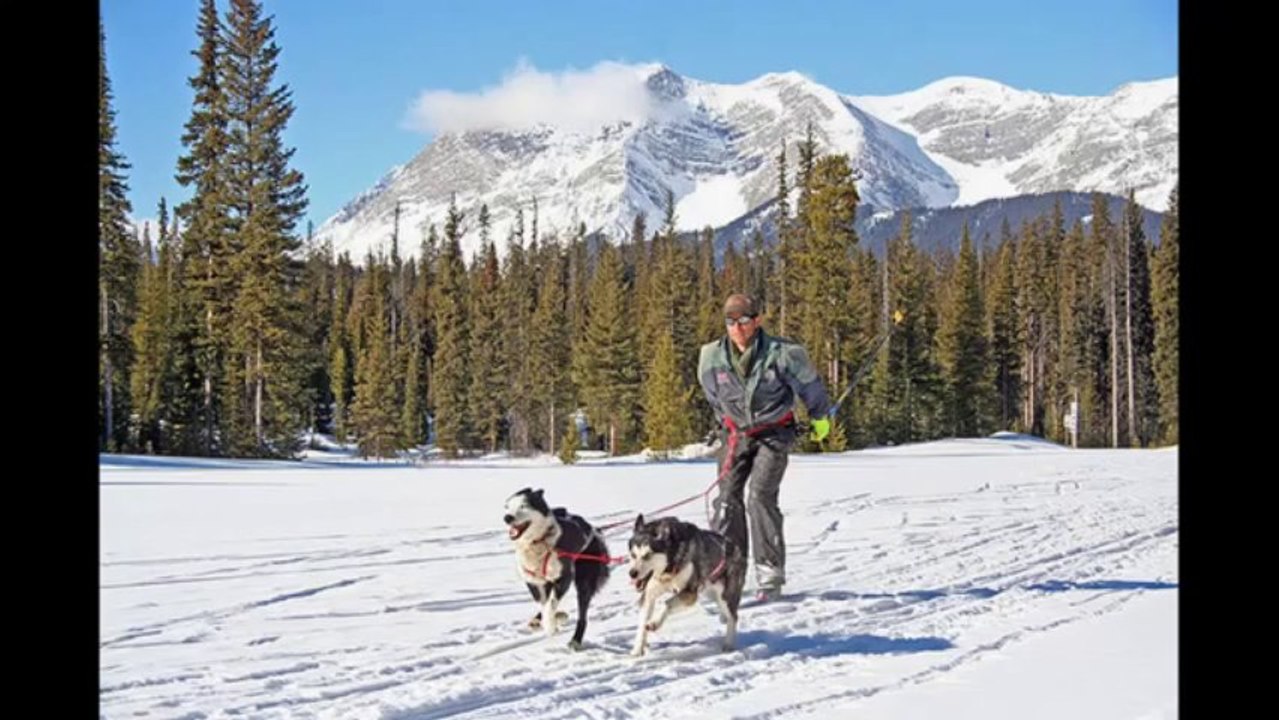 Yoo Hoo! Winter is here again - Time to make the most of the Snow | Winter Sports and Activities