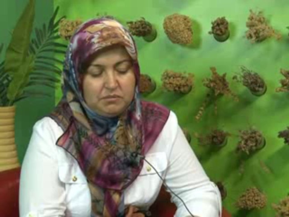 Hemoroid Problemi Vardı