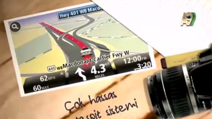 Fotoğraflarla doğa günlüğü: Somon balıkları