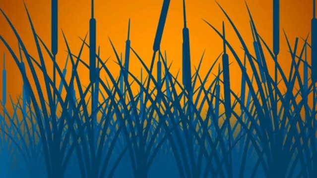 Charbon de Typha - Mauritanie - 100 innovations pour un développement durable pour l'Afrique