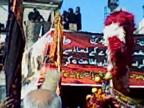 Sehwan muharram 7 jaloos nov 2013 record saleem shah