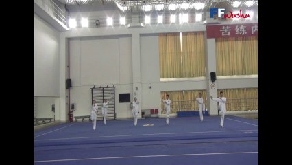 Taiji Quan classique IWuF - Jiti (groupe)