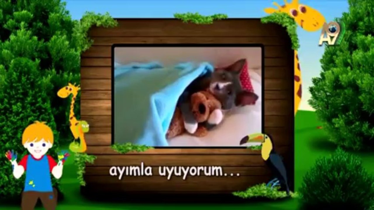 Eğlence başlıyor!!!