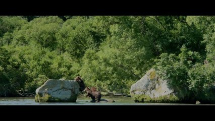 Terre des ours - Bande-annonce #1 [VF|HD720p]