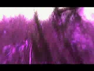 "Sweet Dreams" - GMS Remix