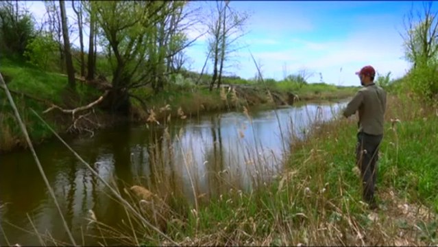 Ловля голавля на реке Чир