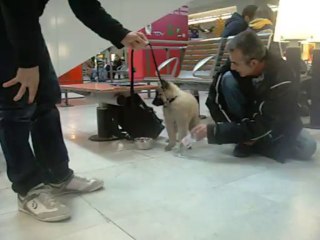 05/12/2013: Irco (phase 2) : où est "maman" ?