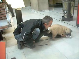 05/12/2013 : Irco (phase 3) : finalement, je veux bien jouer avec toi