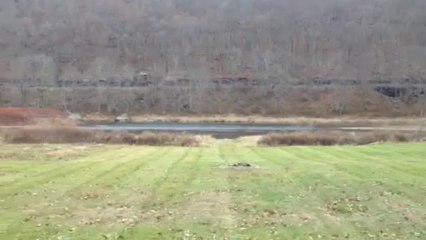 Buy Real Estate Property At Callicoon