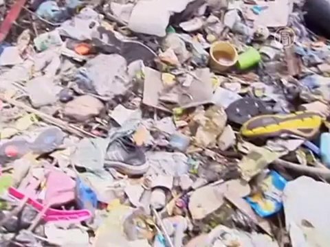 Водоёмы Рио слишком грязные для Олимпиады-2016