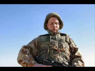 Camel Spiders Watch Free Trailer