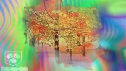 Kapela znad Baryczy - Ojczyzna®