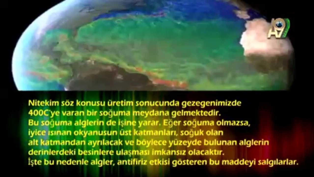 İklimi sabit tutan algler