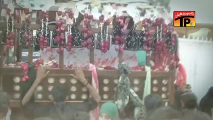 Islam Aur Azadari, Ali Rizvi Sachay 2013-14