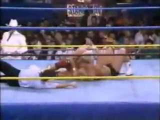 Dustin Rhodes vs Stunning Steve Austin 2/3 Falls US Title