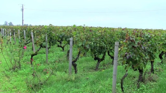 Vin et architecture au XIXème siècle : Deux châteaux bordelais aux styles bien différents
