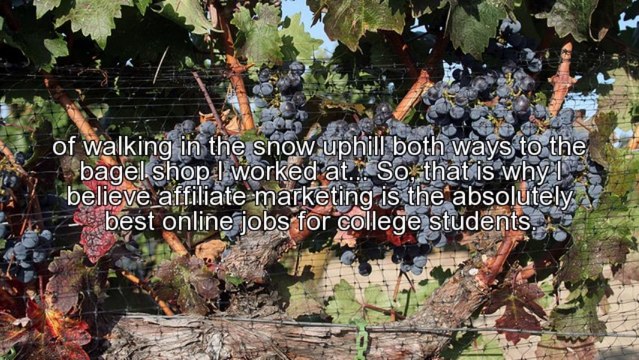 Best Online Jobs For College Students Anywhere Anytime