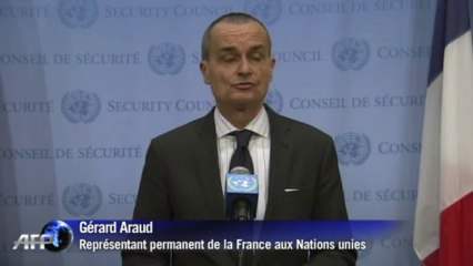 L'ONU autorise une intervention française en Centrafrique