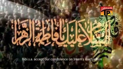 Sheh Ka Pursa Wusool Kar Bibi, Hasnain Abbas 2013-14