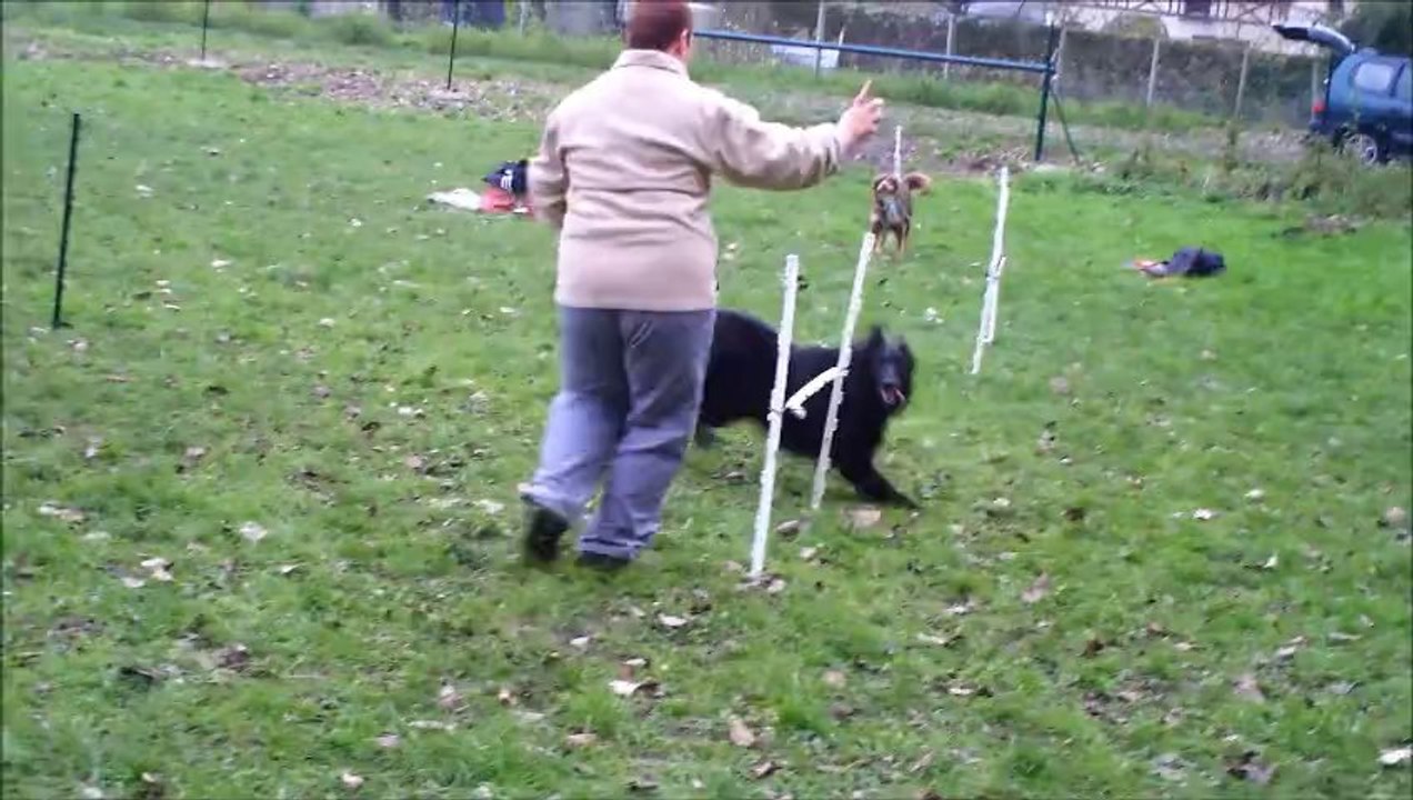 heaven entrainement agility  5 décembre 2013