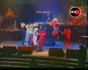Chancho en piedra - Funk del balsa - chancho