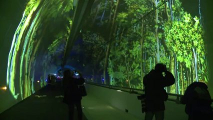 Lyon: ouverture d'un tunnel pour piétons, vélos et bus