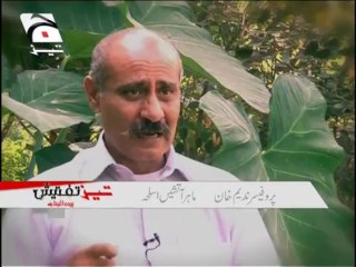 Tez Tafteesh-05 Dec 2013-Part 1