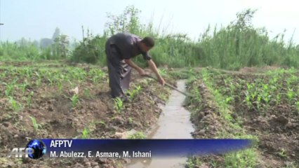 Egypt farmers fear water supply threat from Ethiopia Dam