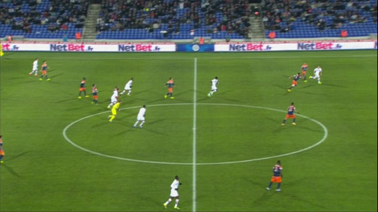 But Maxime BARTHELME (49ème) - Montpellier Hérault SC - FC Lorient - (0-2) - 04/12/13 (MHSC - FCL)