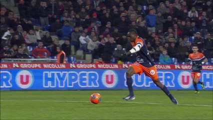 Montpellier Hérault SC - FC Lorient (0-2) - 04/12/13 - (MHSC - FCL) - Résumé
