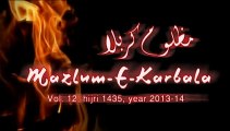 Khadim Hussain Nohay 2014 Promo Title