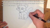 How to Draw a Cat - Easy Step by Step Tutorial
