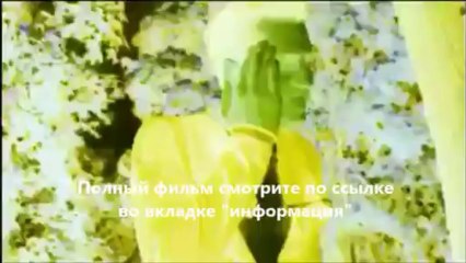 смотреть Тёмный мир Равновесие онлайн HD качество