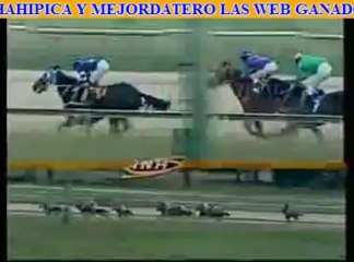 VALENCIA 8 CARRERA JUEVES 05 DE DICIEMBRE DEL 2013