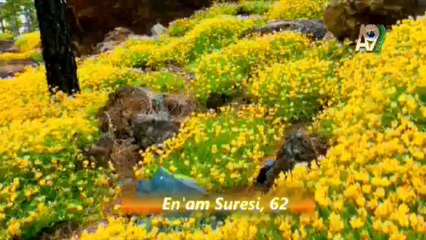 Allah, Hesabı Çabuk Görendir