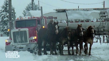 Amish Man and Horses Save Milk Truck | Holiday Cheer